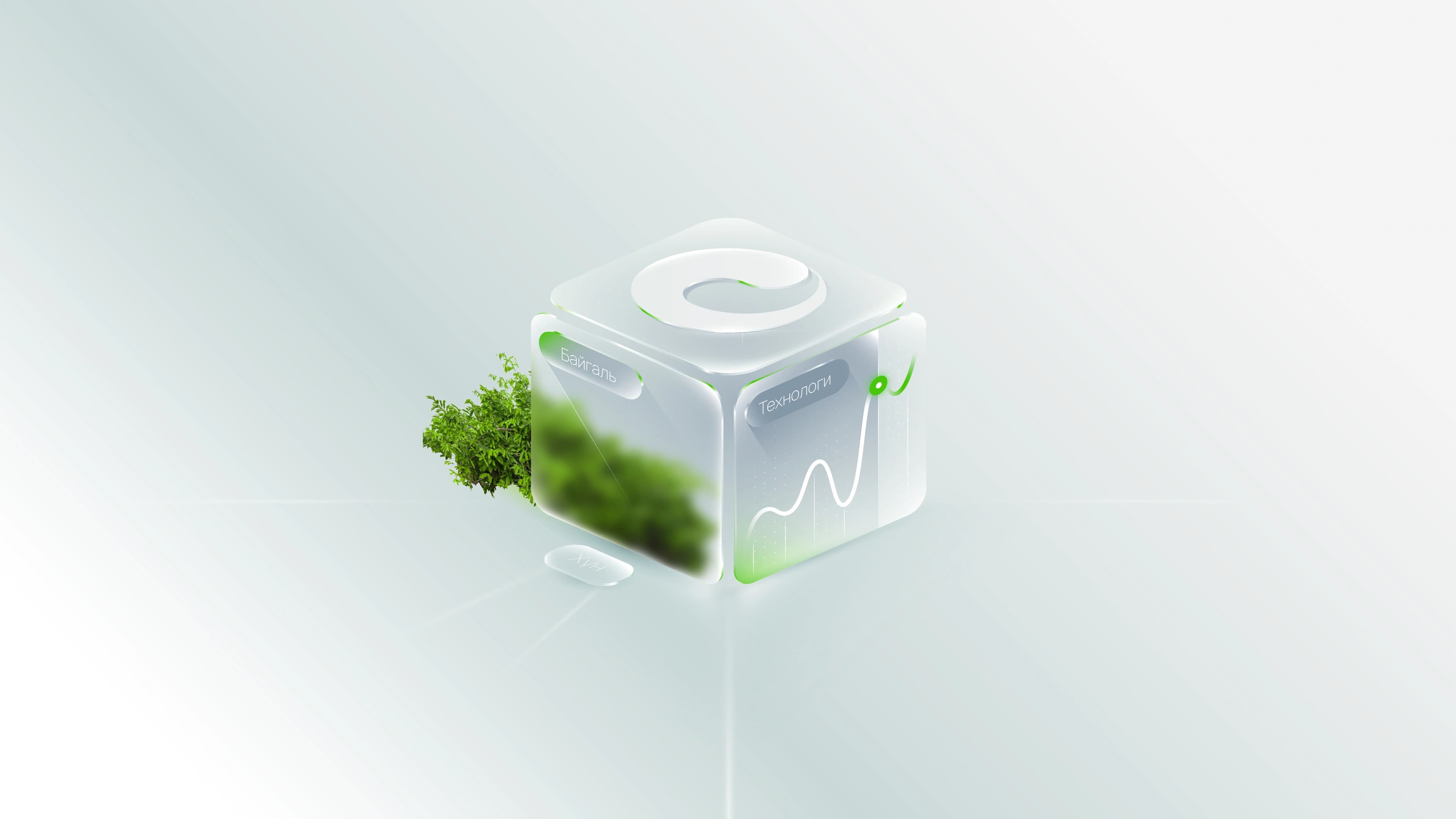 Sustainability Reports